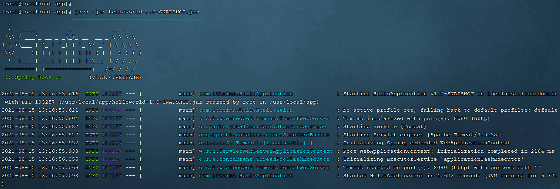 image-20210815131812582