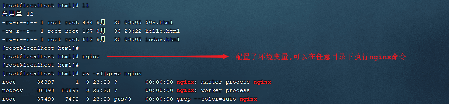 image-20210830232419462