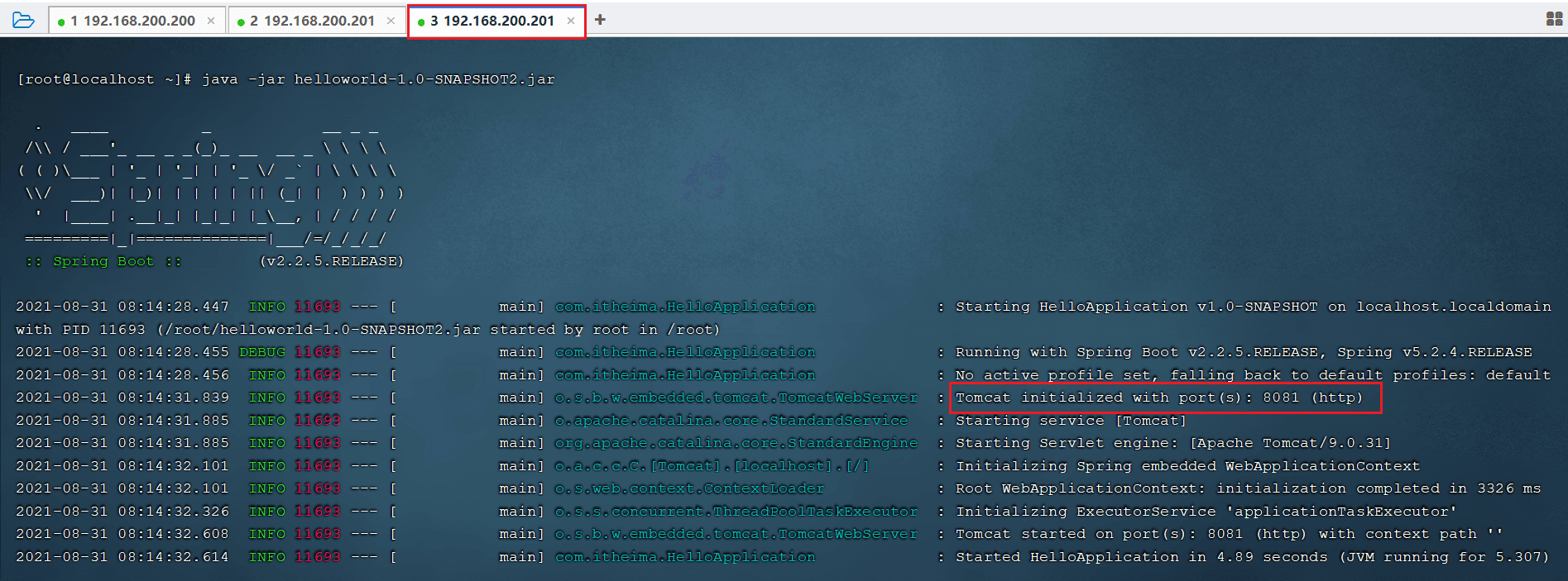 image-20210831081544582